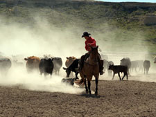 USA-Colorado-Cowboy Adventure in Colorado